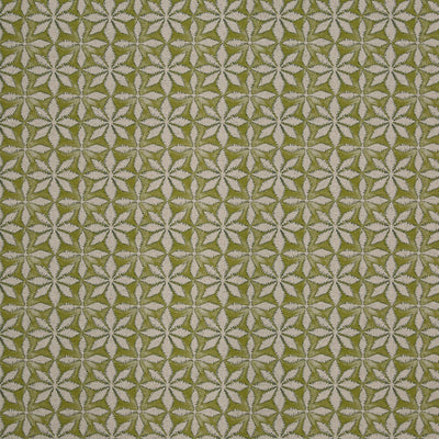 Haddon Apple (pts119)