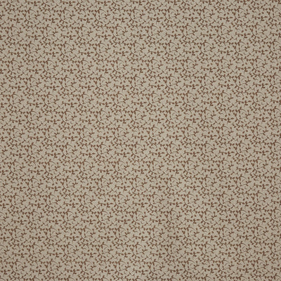 Syon Nutmeg (pts119)