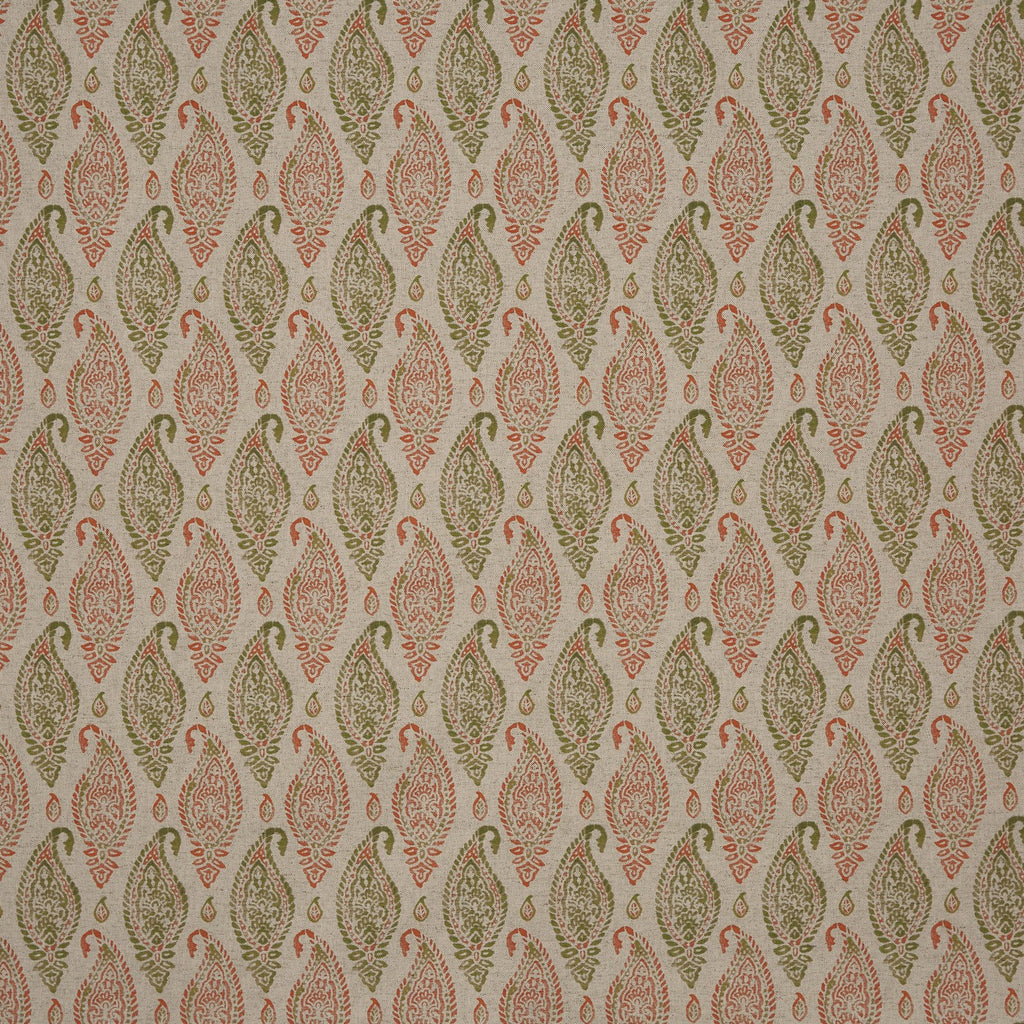 Wollerton Ginger (pts119)