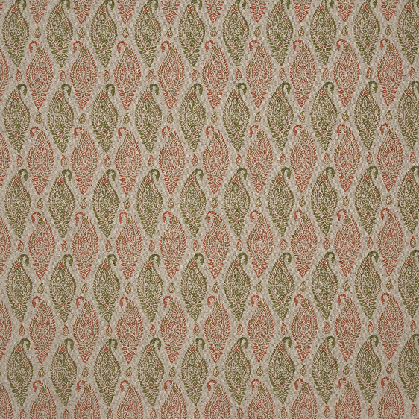 Wollerton Ginger (pts119)
