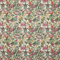 Clemence Meringue (pts108)