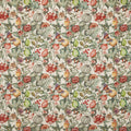 Clemence Papaya (pts108)