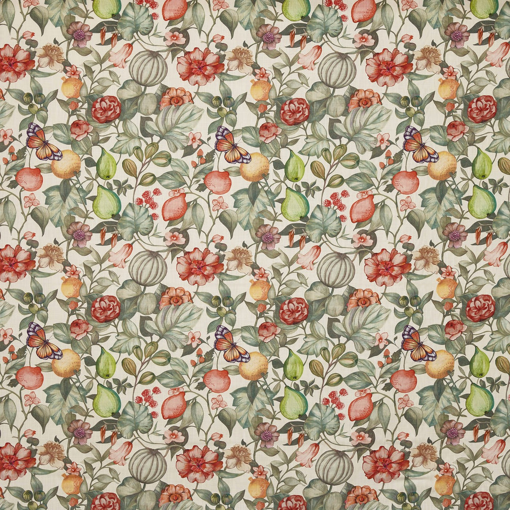 Clemence Papaya (pts108)