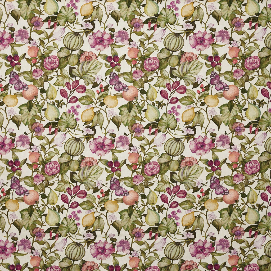Clemence Wisteria (pts108)