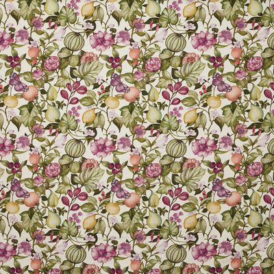 Clemence Wisteria (pts108)