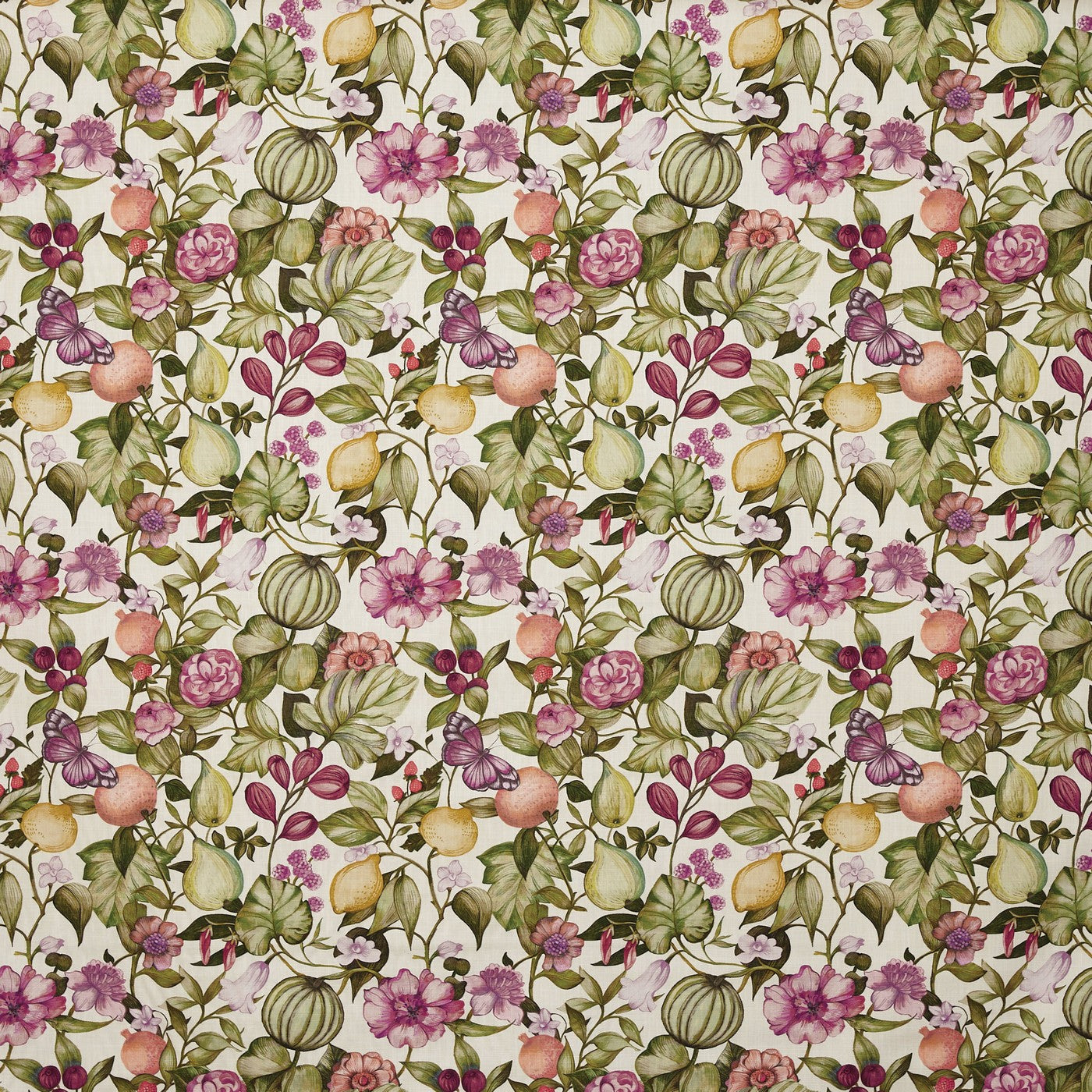 Clemence Wisteria (pts108)