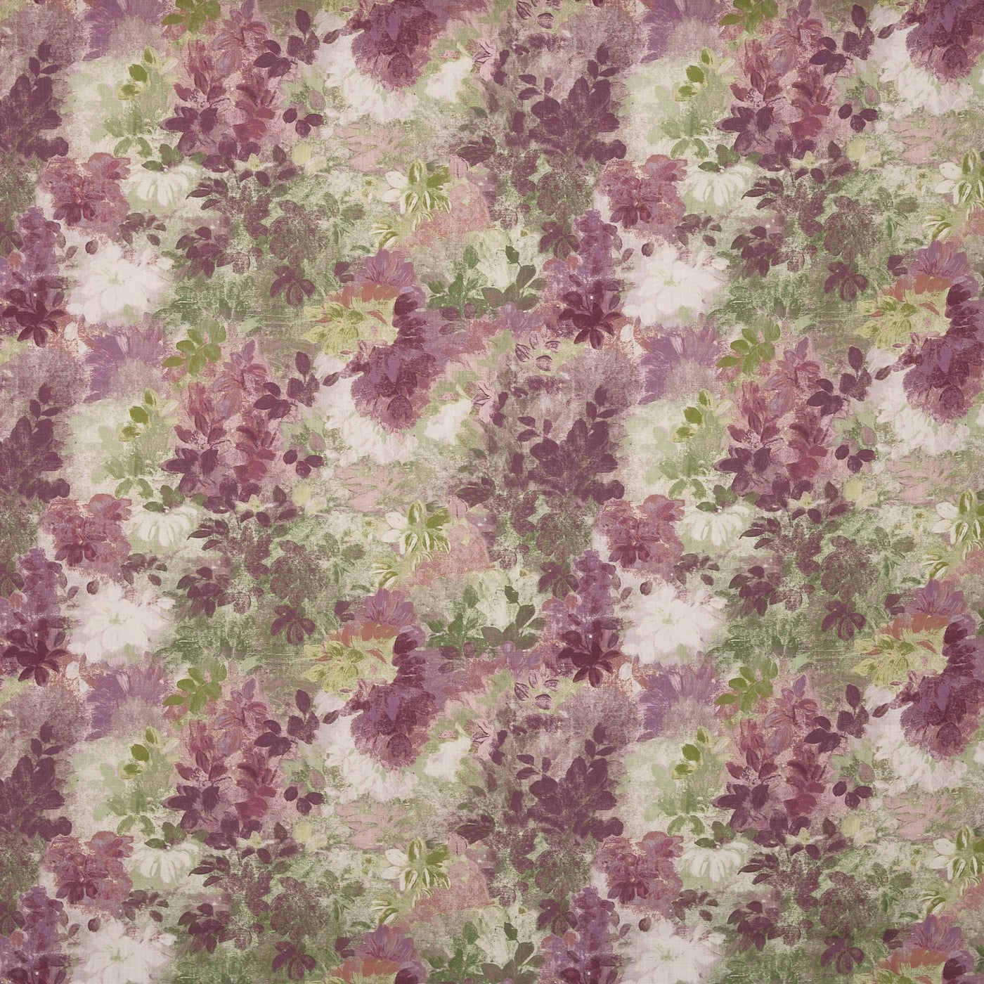 Claude Wisteria (pts108)