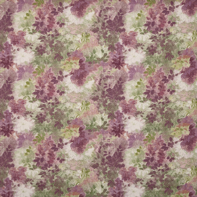 Claude Wisteria (pts108)