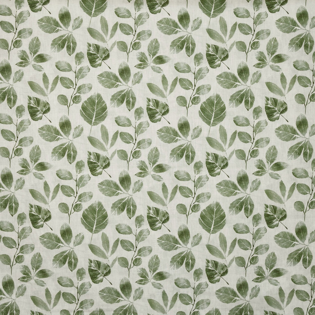 Whimsical Ivy (pts108)