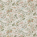 Cleo Apricot
