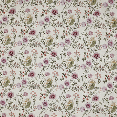 Longmoor Rose