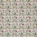 Longmoor Apricot
