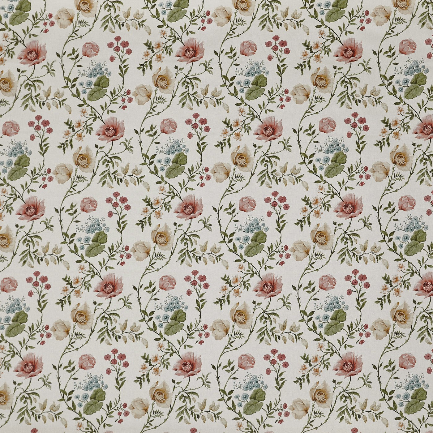 Longmoor Apricot