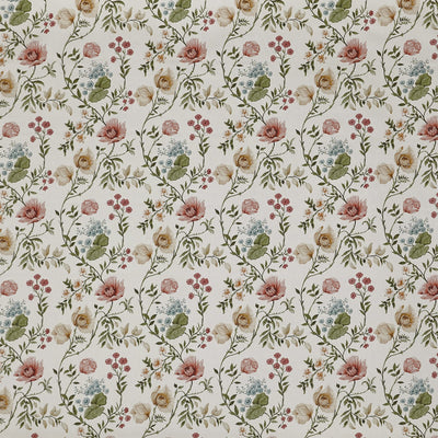 Longmoor Apricot