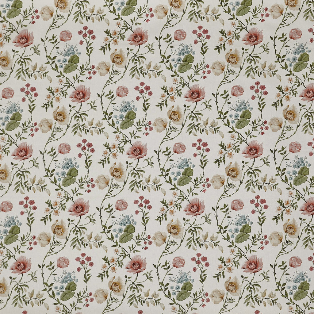 Longmoor Apricot