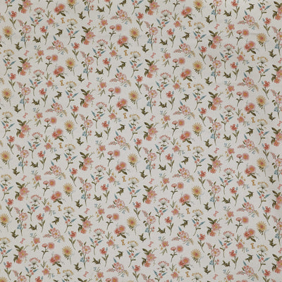 Marigold Apricot