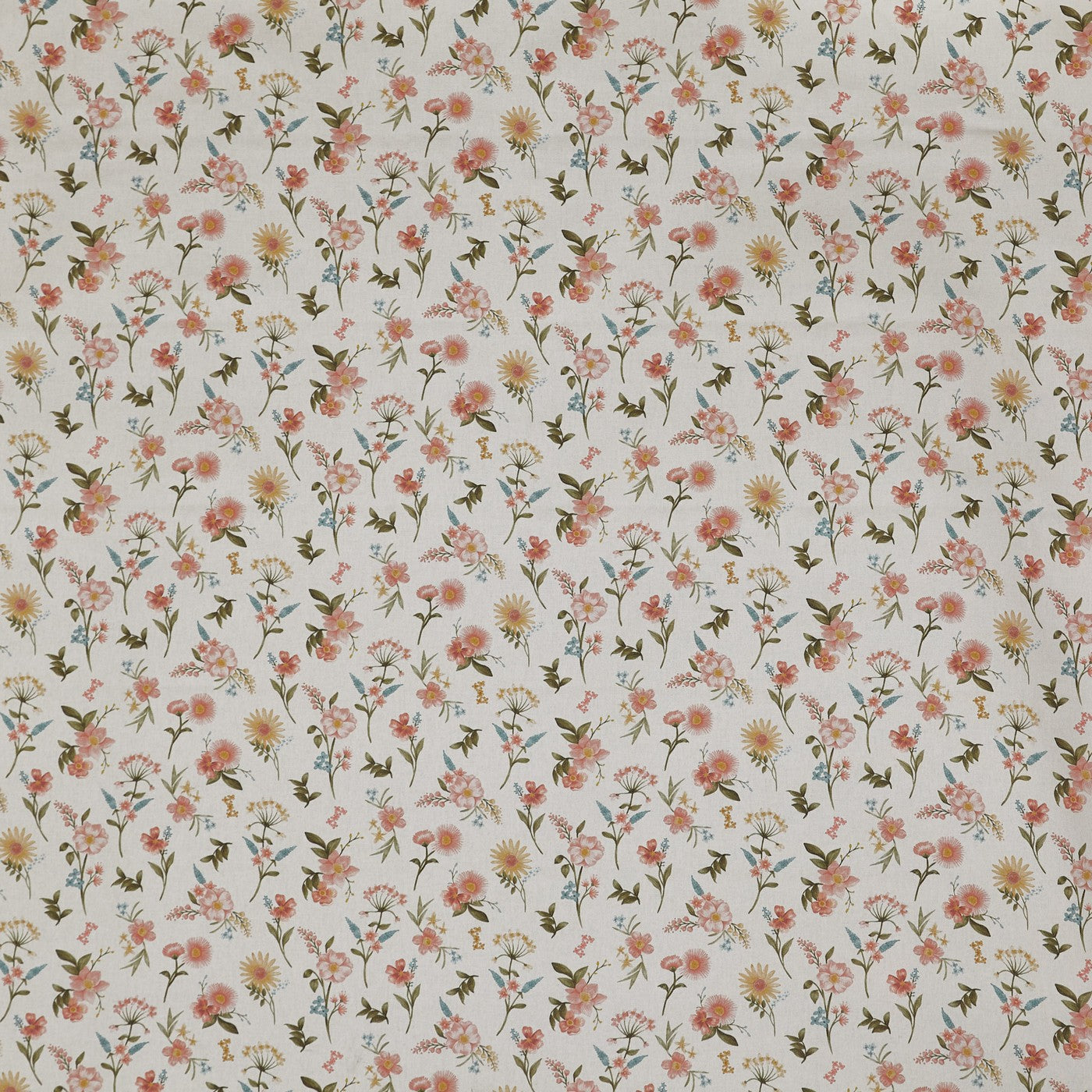 Marigold Apricot