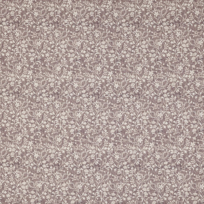 Suri Lotus (pts126)