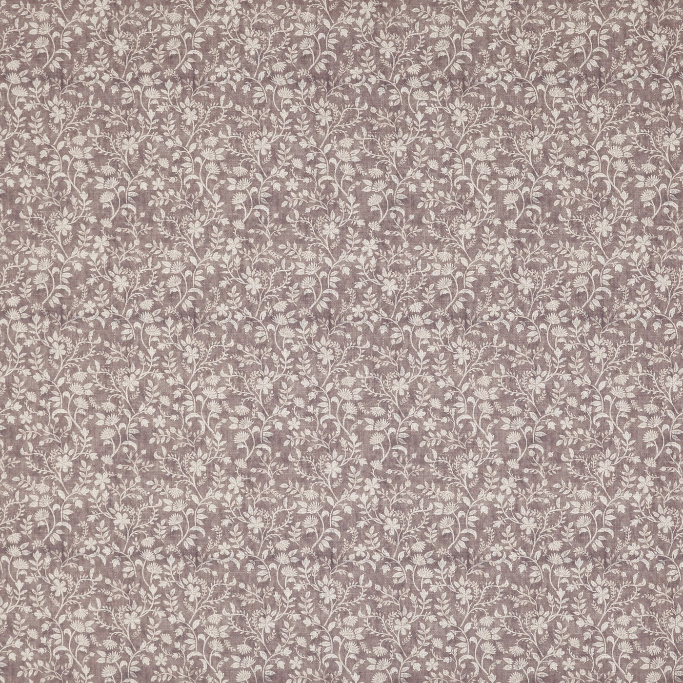 Suri Lotus (pts126)