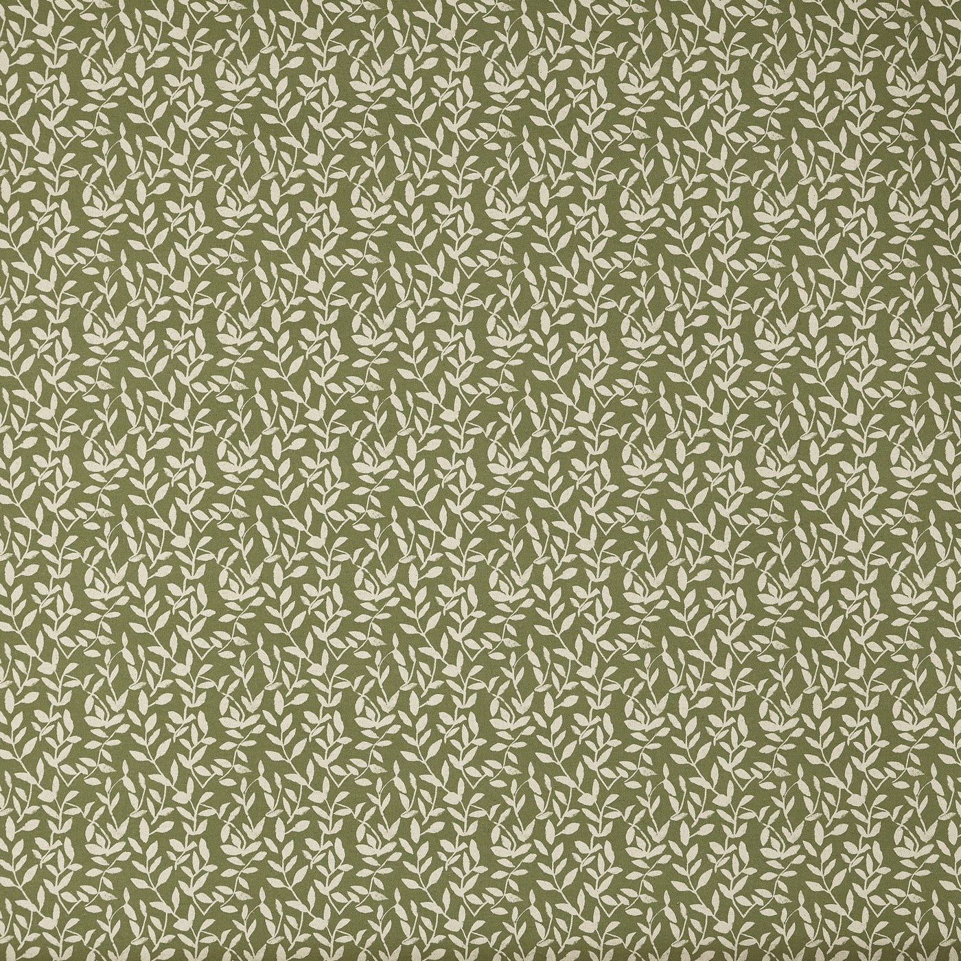 Delilah Cucumber (pts119)