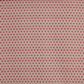 Dory Raspberry (pts119)