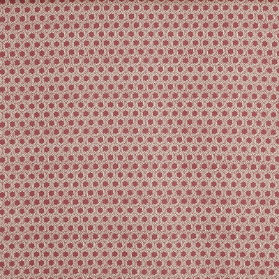 Dory Raspberry (pts119)