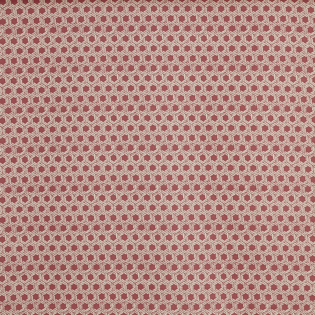 Dory Raspberry (pts119)