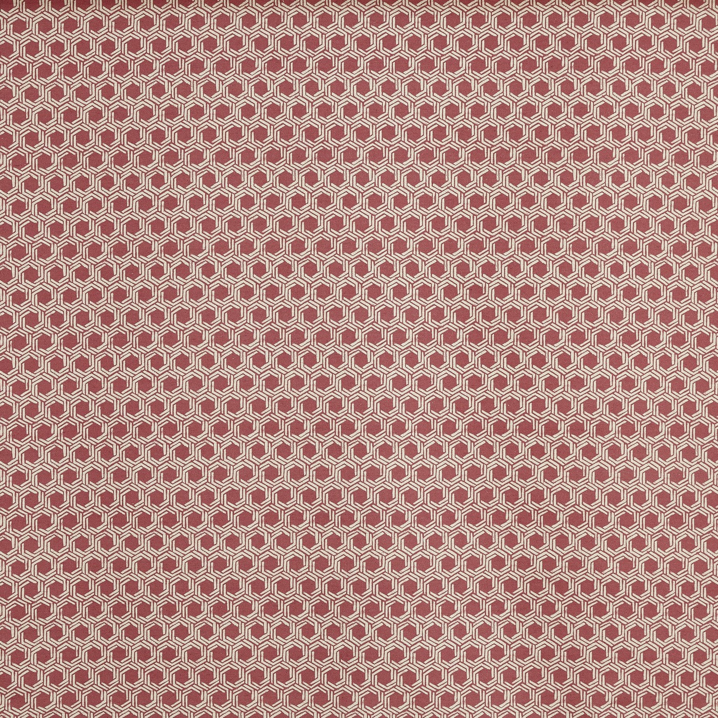 Dory Raspberry (pts119)