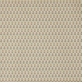 June Bear (pts119)