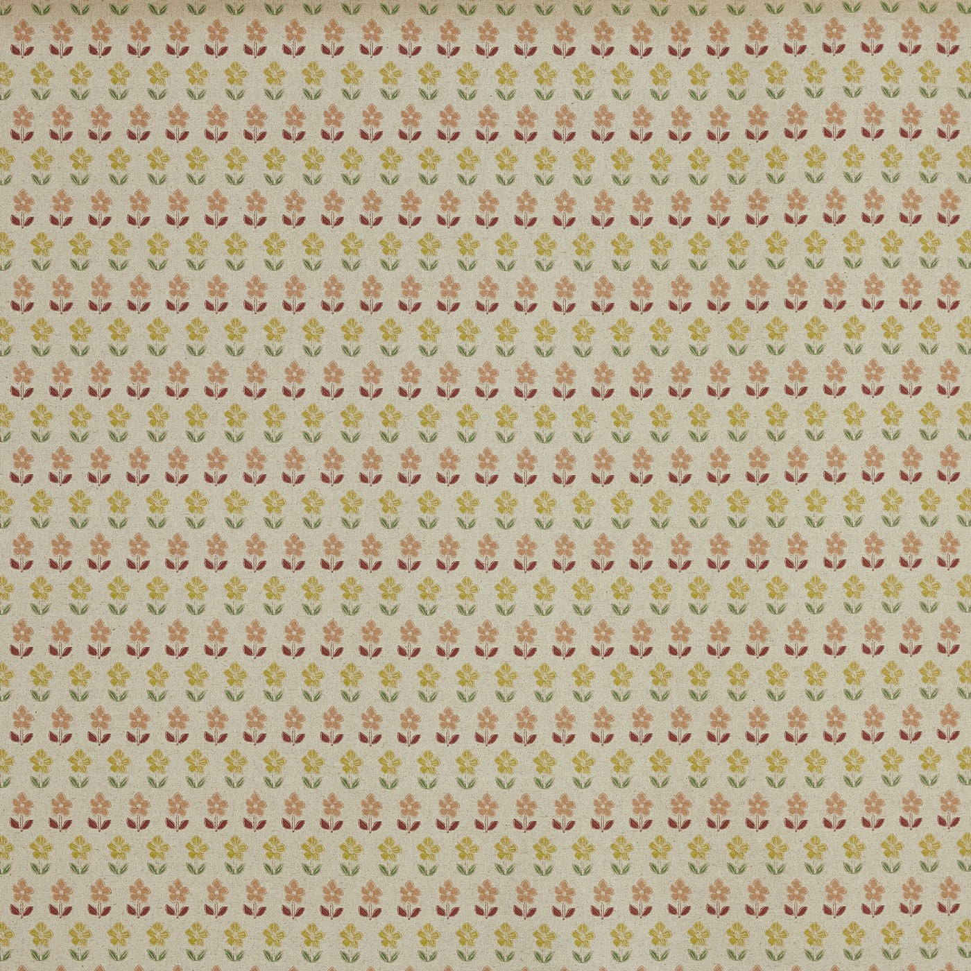 June Raspberry (pts119)
