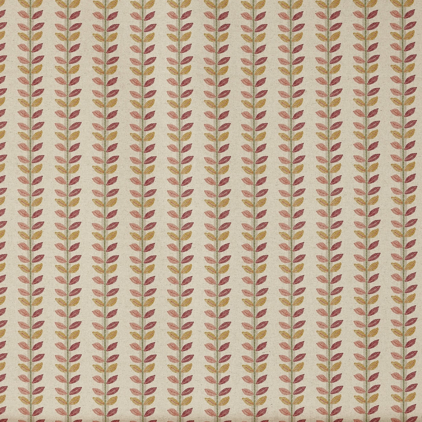 Lili Raspberry (pts119)