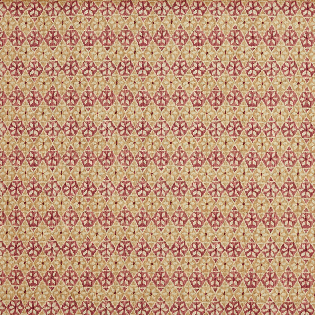 Wilfred Raspberry (pts119)