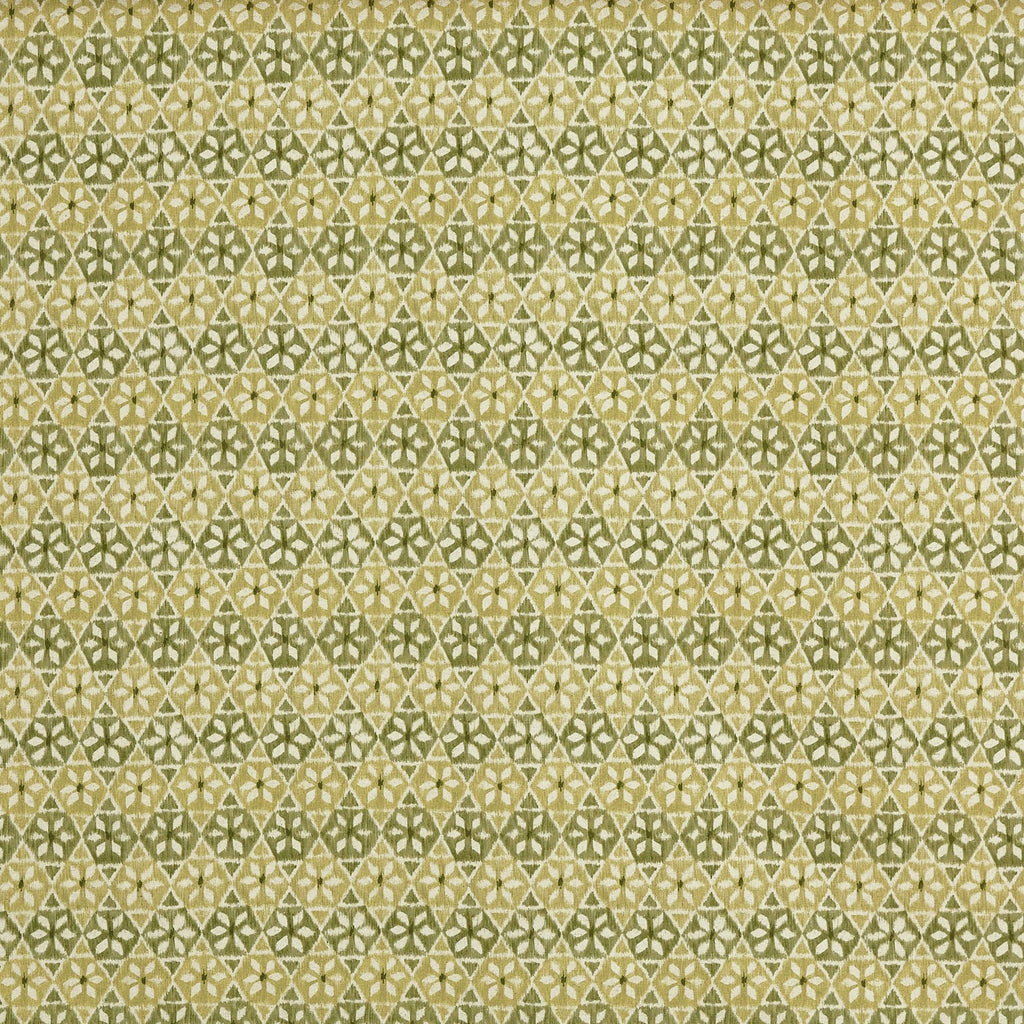 Wilfred Cucumber (pts119)