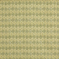 Wilfred Cucumber (pts119)