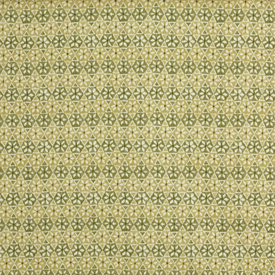 Wilfred Cucumber (pts119)