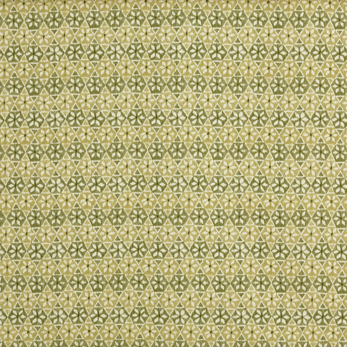 Wilfred Cucumber (pts119)