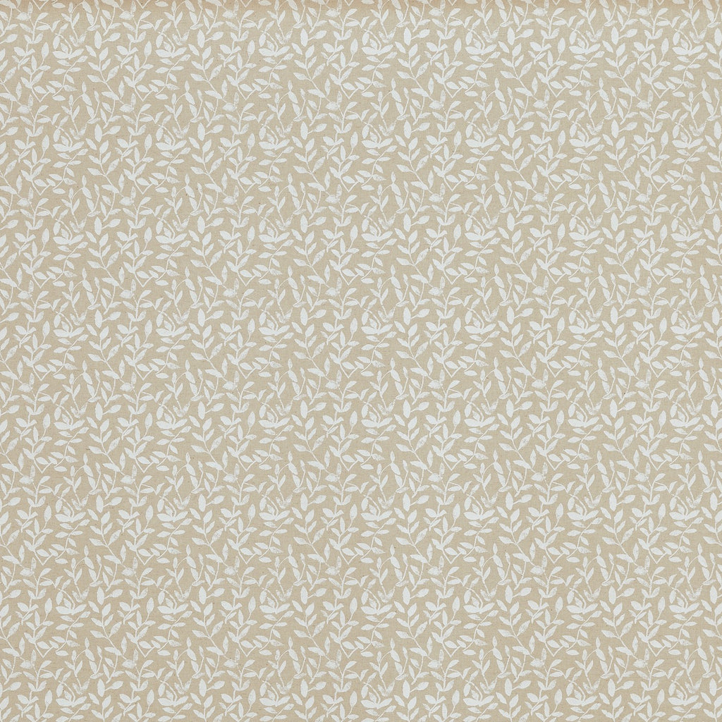 Demi Canvas