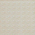 Demi Canvas
