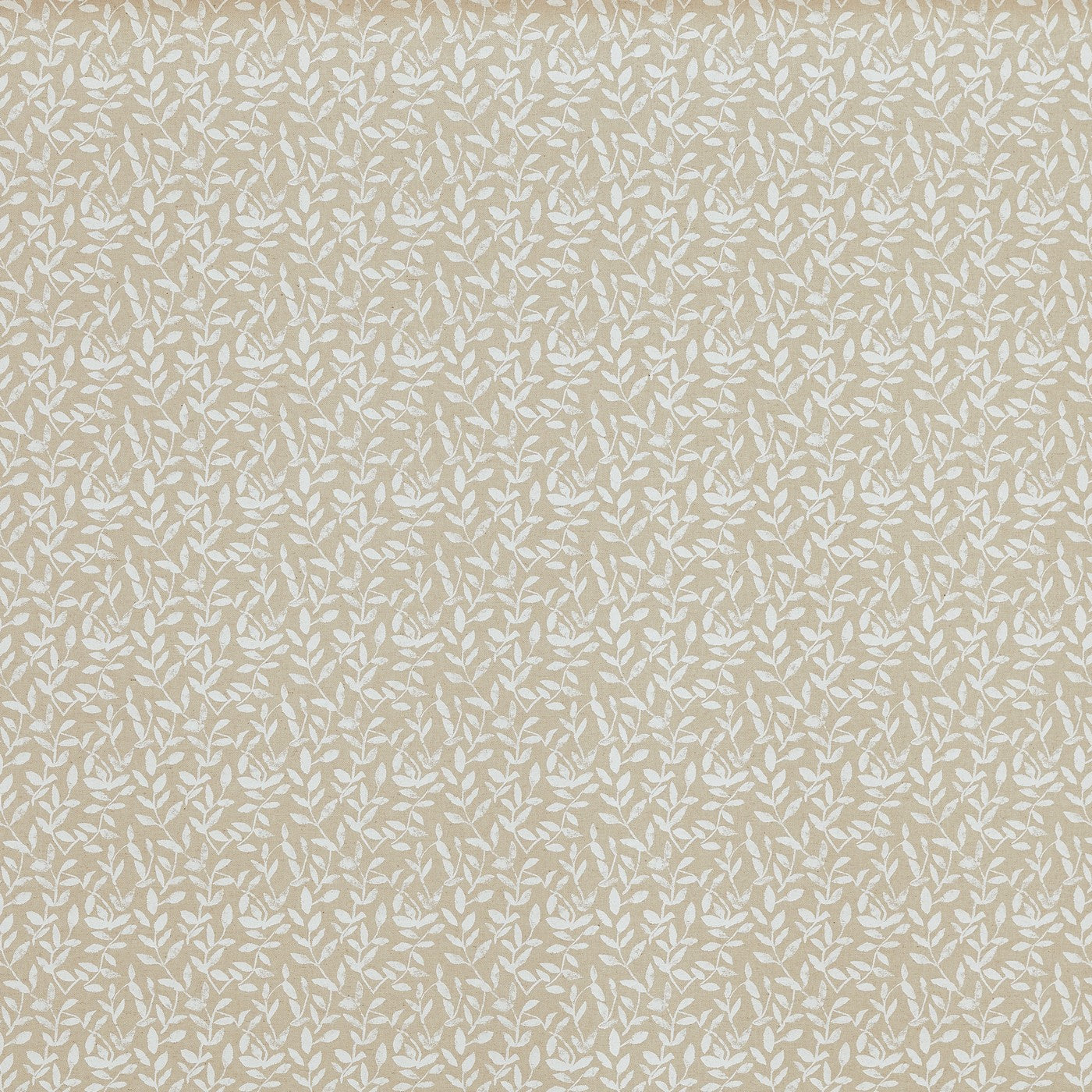 Demi Canvas