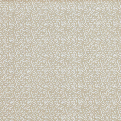 Demi Canvas