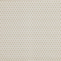 Mary Canvas