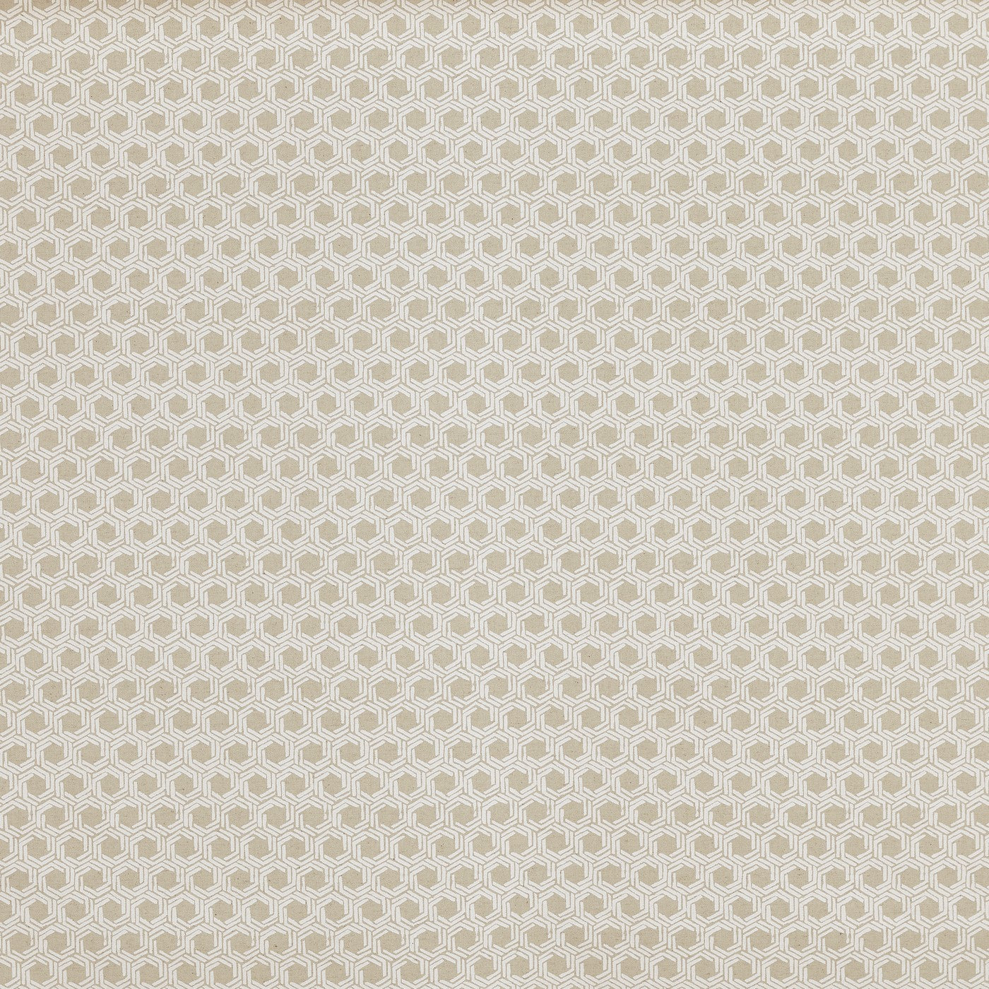 Mary Canvas