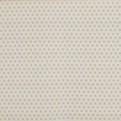Mary Canvas