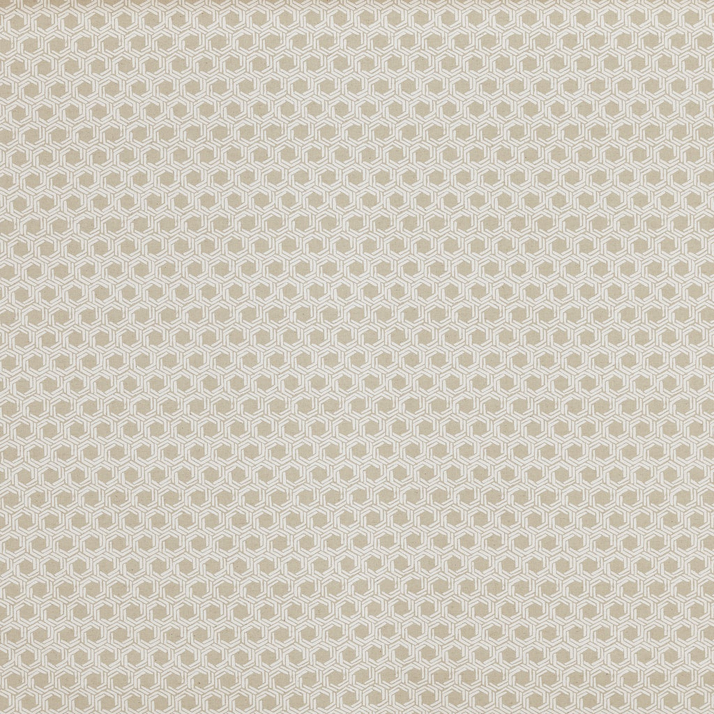Mary Canvas
