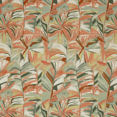 Grand Baie Papaya (pts108)