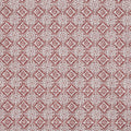 Simone Salsa (pts131)