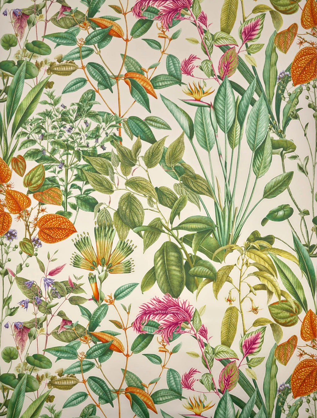 Fantaisie tropicale Vegetal - Jardin À La Française