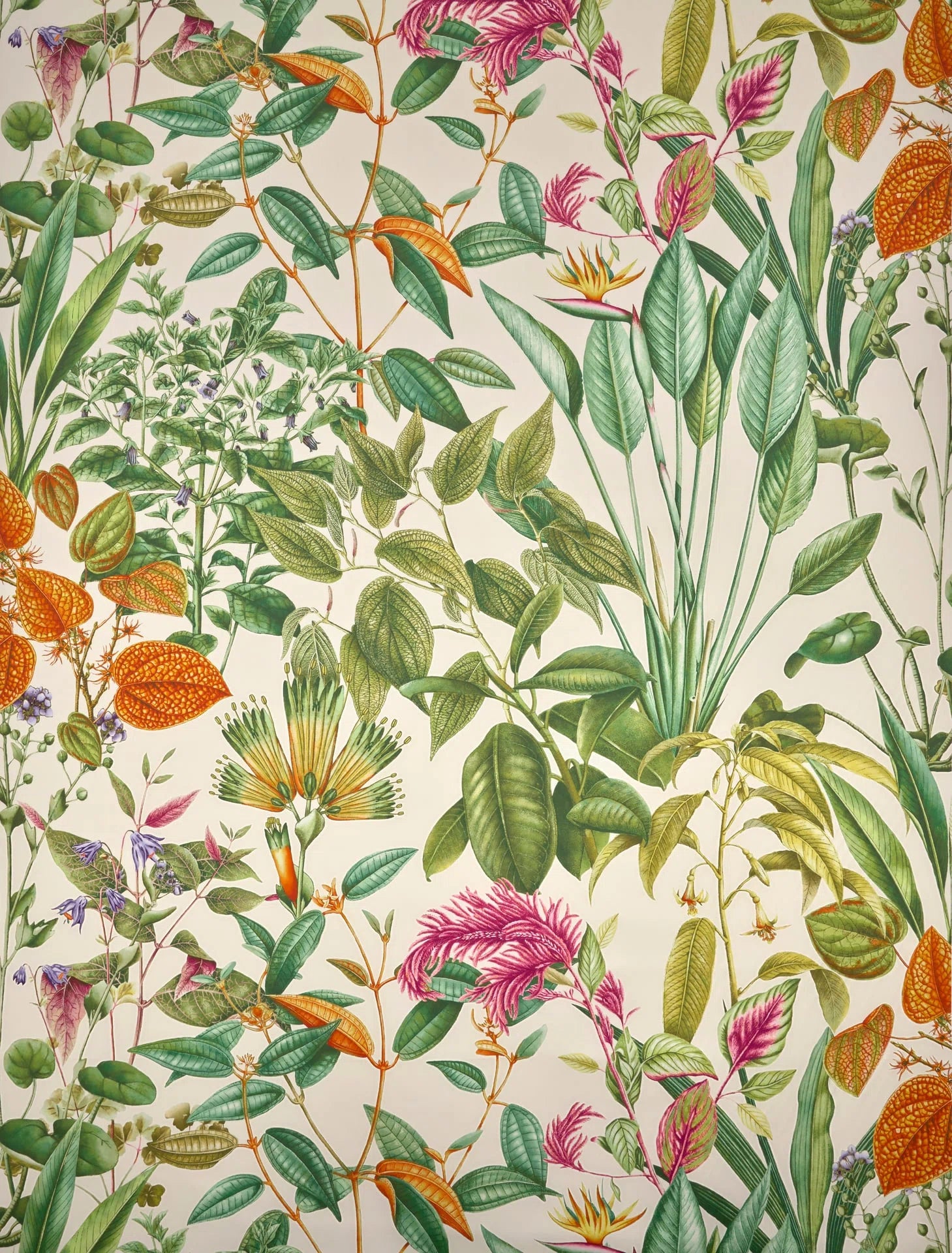 Fantaisie tropicale Vegetal - Jardin À La Française
