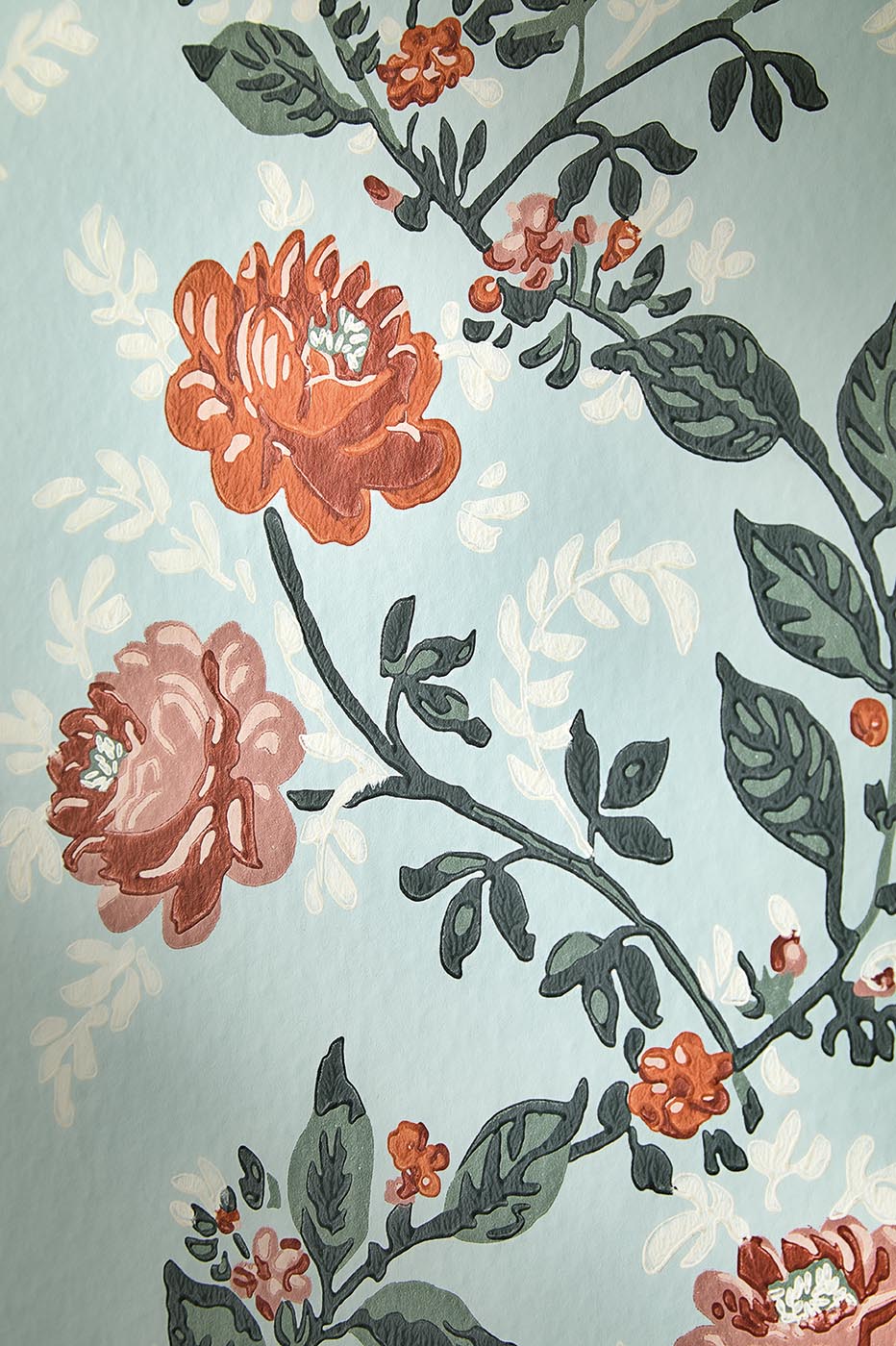 Rosa Grisaille - Lumières Boréales