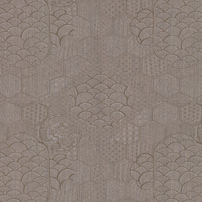TOWADA FIL - Brown